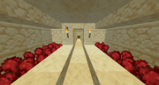 Temple Nether Wart farm