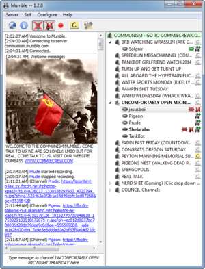 2015-01-16 02 47 11-Mumble -- 1.2.8.png